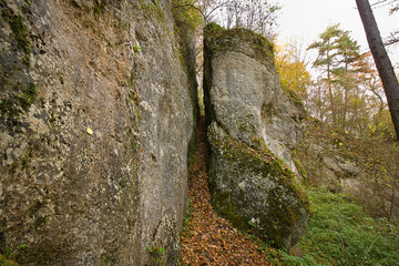 Autumn landscape. Golden Autumn in the woods. Picturesque rock in the autumn forest