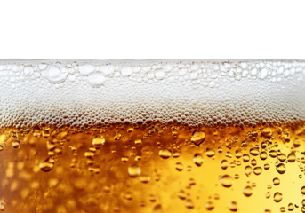 Close-up of golden beer with foam and bubbles, isolated on transparent cutout background