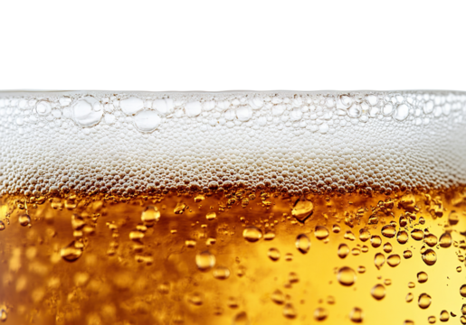 Close-up of golden beer with foam and bubbles, isolated on transparent cutout background