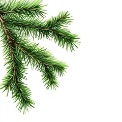 Obraz premium A close-up view of a green pine branch, showcasing its lush needles and detailed texture against a white background.