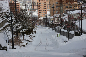 Fototapeta premium winter in the city