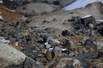 Hell valley or Noboribetsu Jigokudani