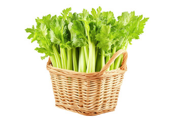 Naklejka premium Fresh celery in wicker basket.