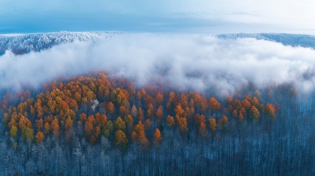 Aerial view of misty forest with autumn foliage and snow-covered trees