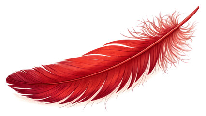 Whispers of the Red Feather red feather photography hobby colourful PNG file download