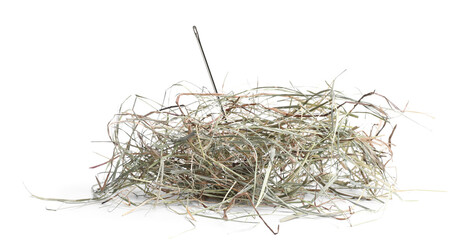 Sewing needle in hay on white background