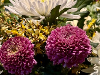 FLores en el mercado 