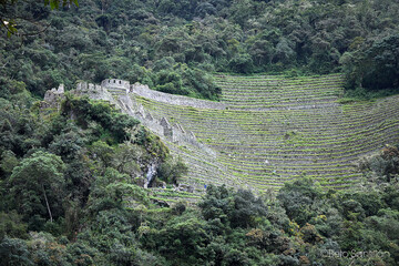 The breathtaking terraces and stone structures of Wiñay Huayna stand as a testament to Inca...