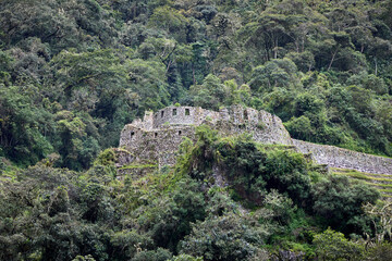 Fototapeta premium The breathtaking terraces and stone structures of Wiñay Huayna stand as a testament to Inca ingenuity and harmony with nature. just steps away from the final stretch to Machu Picchu