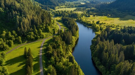 Aerial view of serene forest landscape with river and road winding through lush greenery