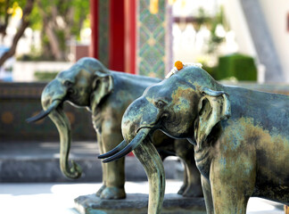 pareja de elefantes sagrados © kaplan69