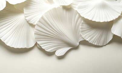 Close-up of elegant white ginkgo leaves arranged artistically on a soft background
