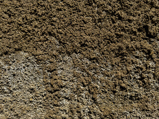 Close-up of a rough earth wall with a natural cracked texture in brown and gray shades.