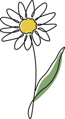 Daisy flower plant elegance continuous line drawing clipart. 