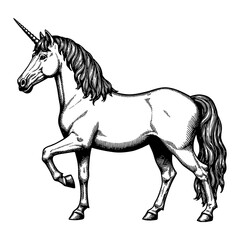Mystical Unicorn Detailed Full Body Black and White Outline Line Art Drawing Illustration