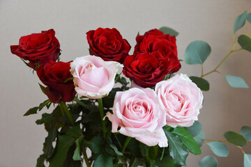 赤とピンクの薔薇