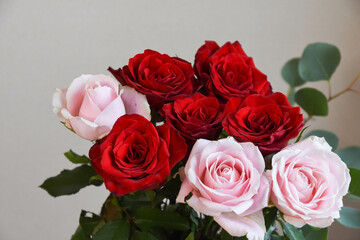 赤とピンクの薔薇