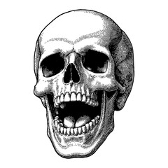 Skull with Evil Laughing Expression Detailed Black and White Outline Line Art Drawing