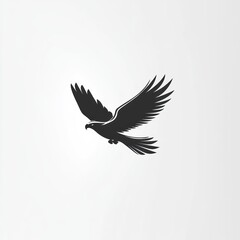 Obraz premium Silhouette of a flying eagle