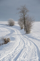 Obraz premium winter landscape with snow