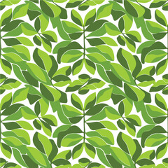 ai173955643155_a-leaf-pattern-design-with-bright-green-_xK1fWNZySmaPYi1JrmDOng_4D9LSj62SQ6OwZ7KF8YFqw.eps
