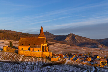 Typical vineyard near Hunawihr near Ribeauville Riquewihr, Haut-Rhin, Region Grand Est, Alsace,...