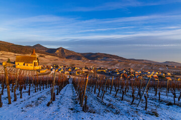 Typical vineyard near Hunawihr near Ribeauville Riquewihr, Haut-Rhin, Region Grand Est, Alsace,...