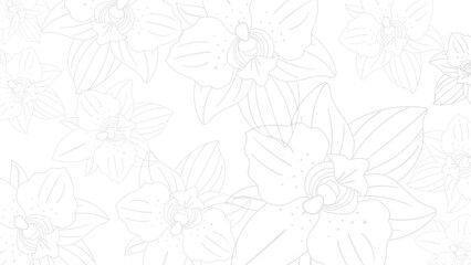 Orchids Flowers in White Vector Background
