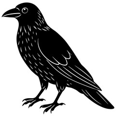 crow on a white background