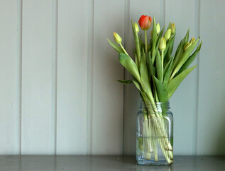 Bouquet of tulips in a glass vase on an olive cabinet. Spring flowers close up photo. Mother's day celebration concept. 