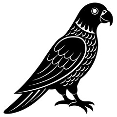 bird of prey
