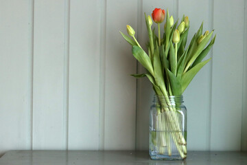 Bouquet of tulips in a glass vase on an olive cabinet. Spring flowers close up photo. Mother's day celebration concept. 