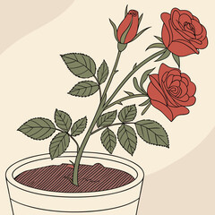 Obraz premium Red rose tree plant in pot vector illustration