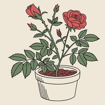 red roses in pot clip art preview