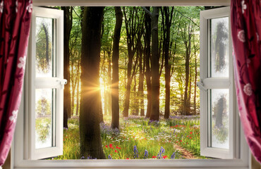 Fototapete bei efototapeten.de bestellen   