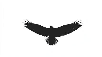 Obraz premium Soaring eagle silhouette, white background, freedom, nature