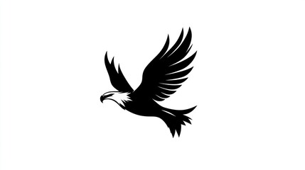 Obraz premium Majestic eagle soaring, white background, freedom, design