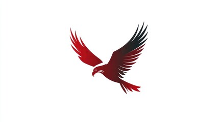 Obraz premium Red eagle in flight, white background, freedom concept, logo design