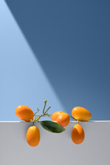 Kumquats naranjas chinas pequeñas sobre un soporte blanco y fondo azul