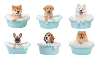 Cute puppies in bathtubs with bubbles, showcasing joy and playfulness