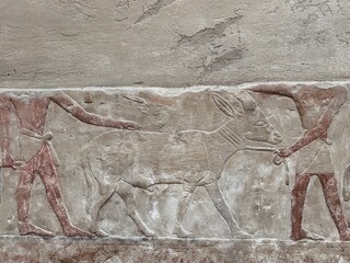 Reliefs in the tombs of inefert, unas Ankh and princess Idut showing daily life rituals in Saqqarah...