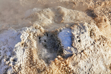 Minerals deposited around the hot springs of the Tatio geyser field in the Atacama Desert in northern Chile