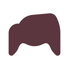 hair flat icon