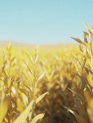 Macro corn field growing with clear sky in background agriculture