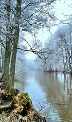 river in the forest, river in the park, natural landscape, nature with river, winter nature, travel, landscape with natural water.