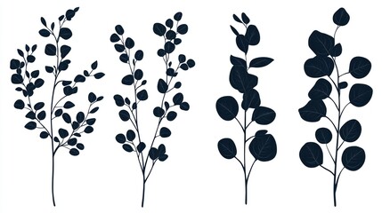 Eucalyptus branches silhouettes, white background, design elements, wedding invitations