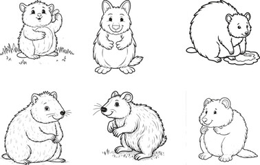 Obraz premium set of vector illustration of cartoon Wombat, vector illustration of cartoon Wombat, wombat silatoutte 
