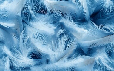 Fototapeta premium Elegant and dreamy light blue feathers with soft and delicate texture ideal for luxury backgrounds and modern aesthetic designs