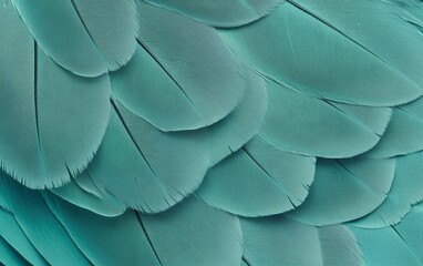 Naklejka premium Close up of stunning blue turquoise feathers with smooth texture and soft layering perfect for nature inspired designs and elegant decorative backgrounds
