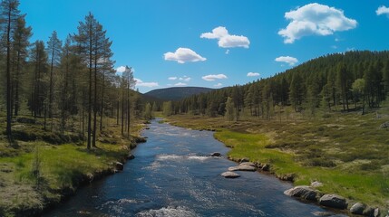 Obraz premium A wide river in the Pacific Northwest wilderness, with rapids and rocky banks, surrounded by lush green forests under a blue sky